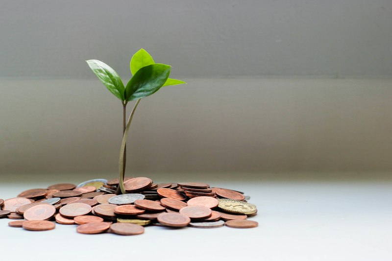 What is Gratuity?